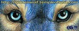 [Goldenwolf link]