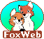 [Fox Web link]