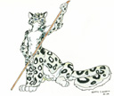 Snowleopardtaur-tn.jpg (14013 bytes)
