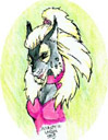 [Thumbnail of Chakat Twospotz]