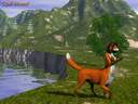 foxtaur-tn.jpg (3120 bytes)