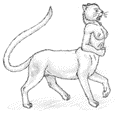 rd_chakat-tn.gif (2493 bytes)